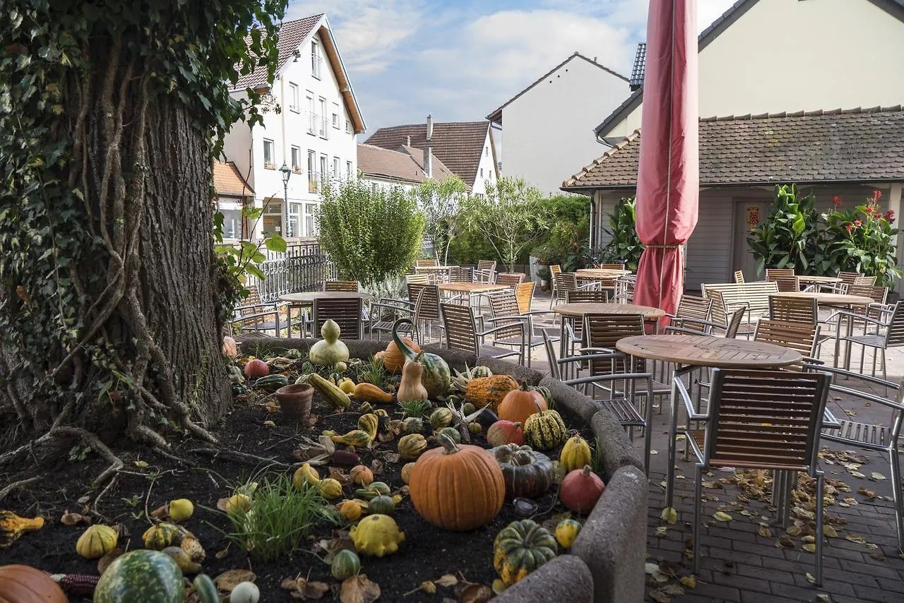 *** Hotel Badischer Hof Bühl Germania